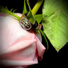 Load image into Gallery viewer, Bentwood ring with Sterling silver eternity rings
