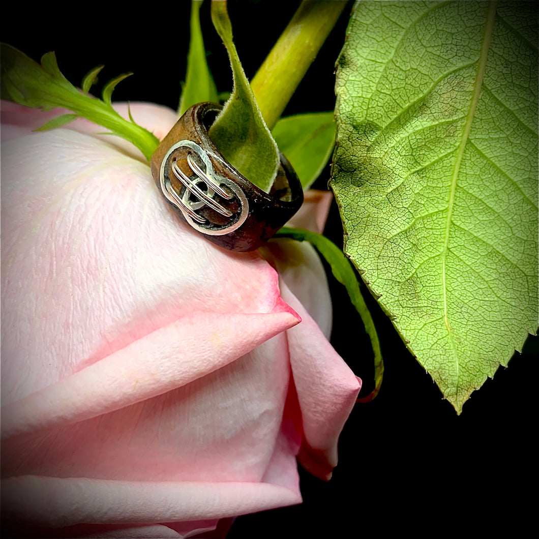 Bentwood ring with Sterling silver eternity rings